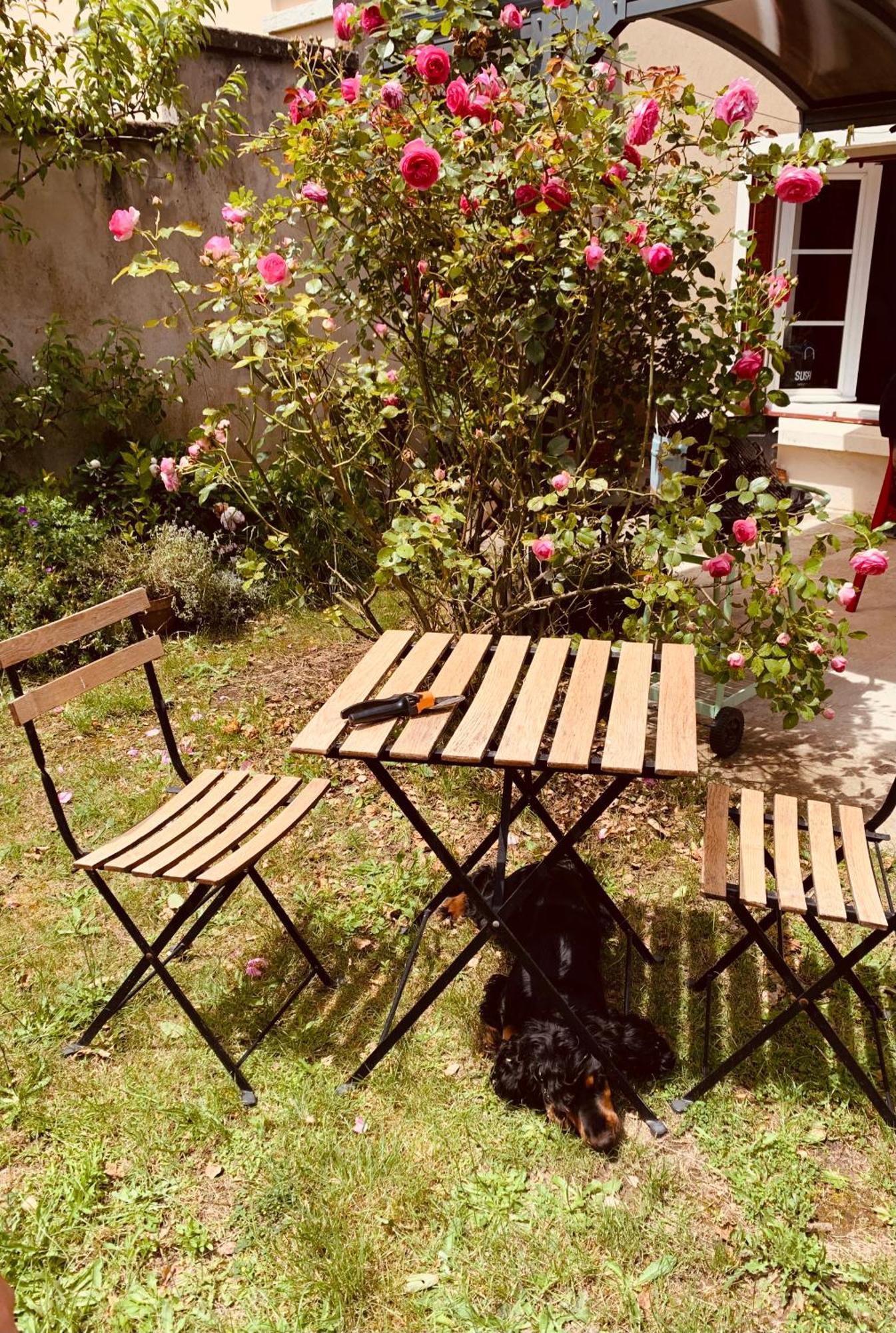 Ibis Rouge Villa Villars-les-Dombes Eksteriør bilde