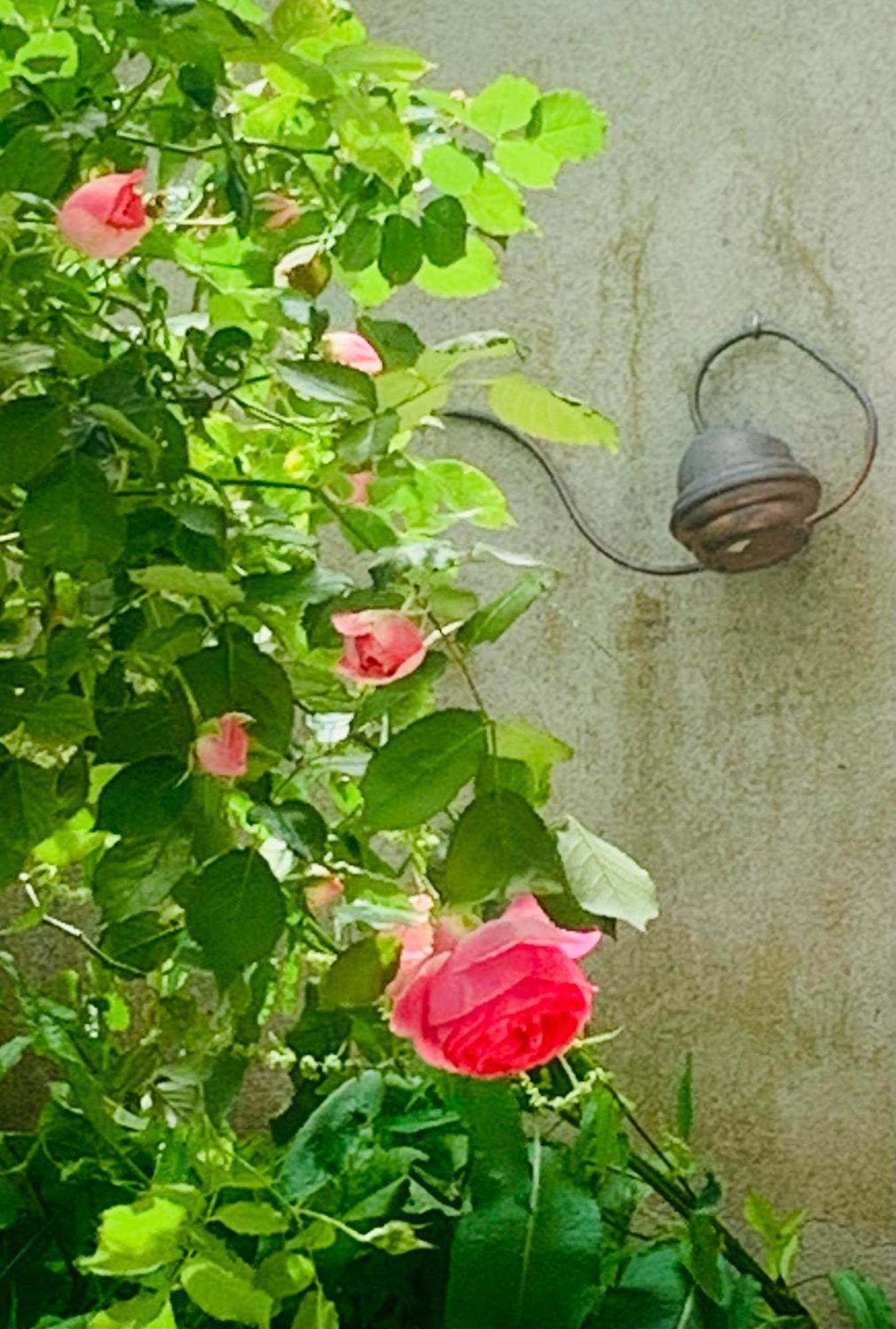 Ibis Rouge Villa Villars-les-Dombes Eksteriør bilde